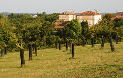 Domaine des agricultrices charentaises des Filles de Beauregard