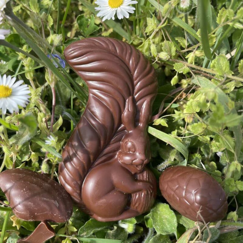 Chocolat artisanal à offrir en forme d'écureuil par les filles de beauregard