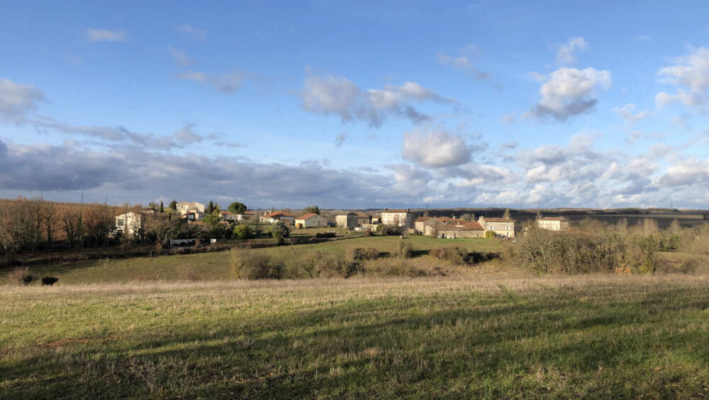 Vue des haies bocagères en des Filles de Beauregard